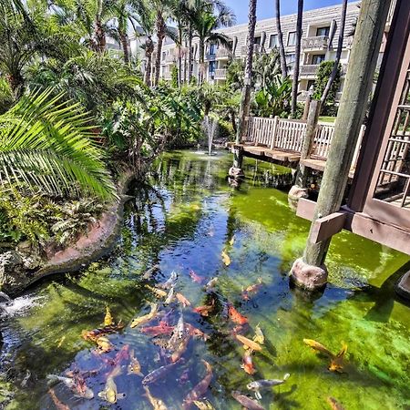 Charming Oceanside Condo With Beach And Pool Access! מראה חיצוני תמונה