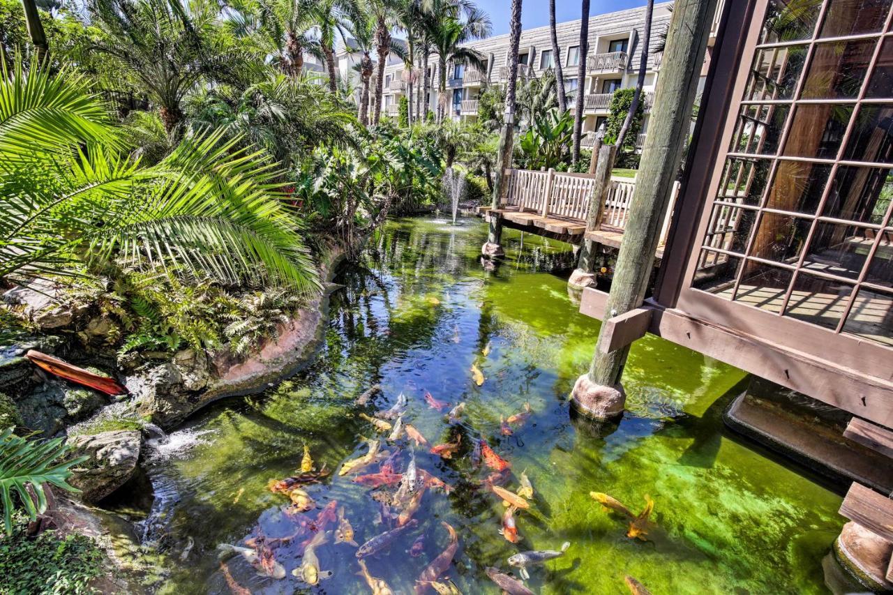 Charming Oceanside Condo With Beach And Pool Access! מראה חיצוני תמונה